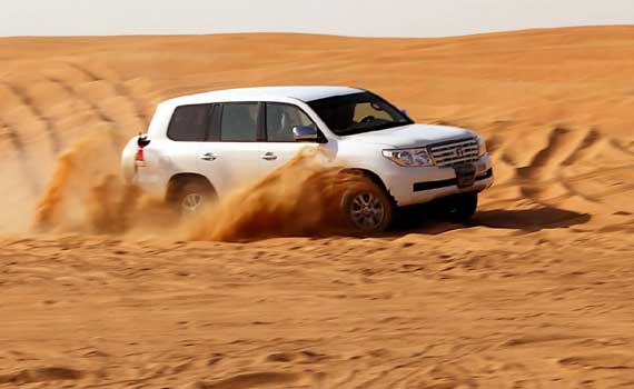 Morning Desert Tour in Dubai